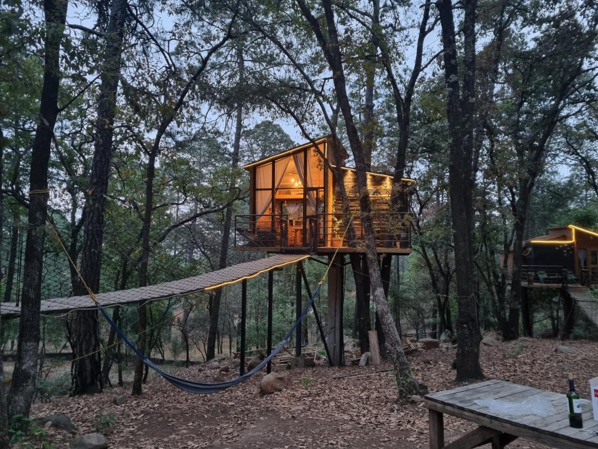 Chalet Patagonia, Pinochueco *